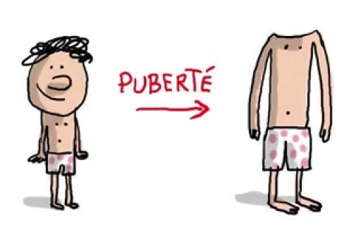 Expliquer La Puberte Comitys